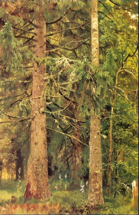 Ivan Shishkin Fir Forest china oil painting image